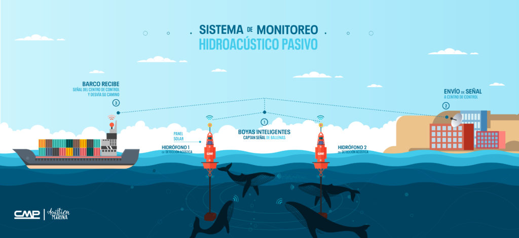 CMP Y ACÚSTICA MARINA AVANZAN EN LA FASE DE DESARROLLO E IMPLEMENTACIÓN DE LAS “BOYAS HIDROACÚSTICAS” 3 Y 4